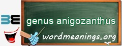 WordMeaning blackboard for genus anigozanthus